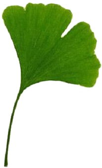 logo trèfle logo trèfle